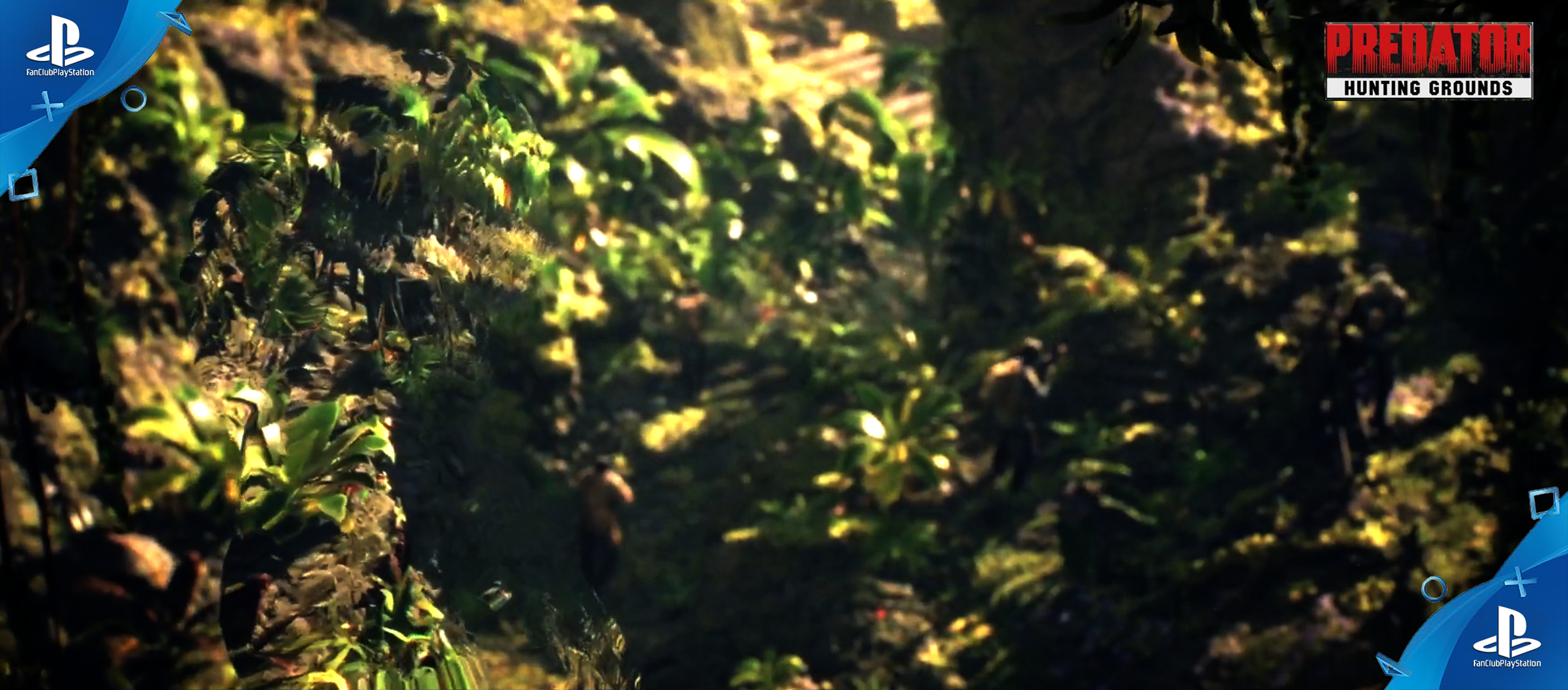 predator hunting grounds