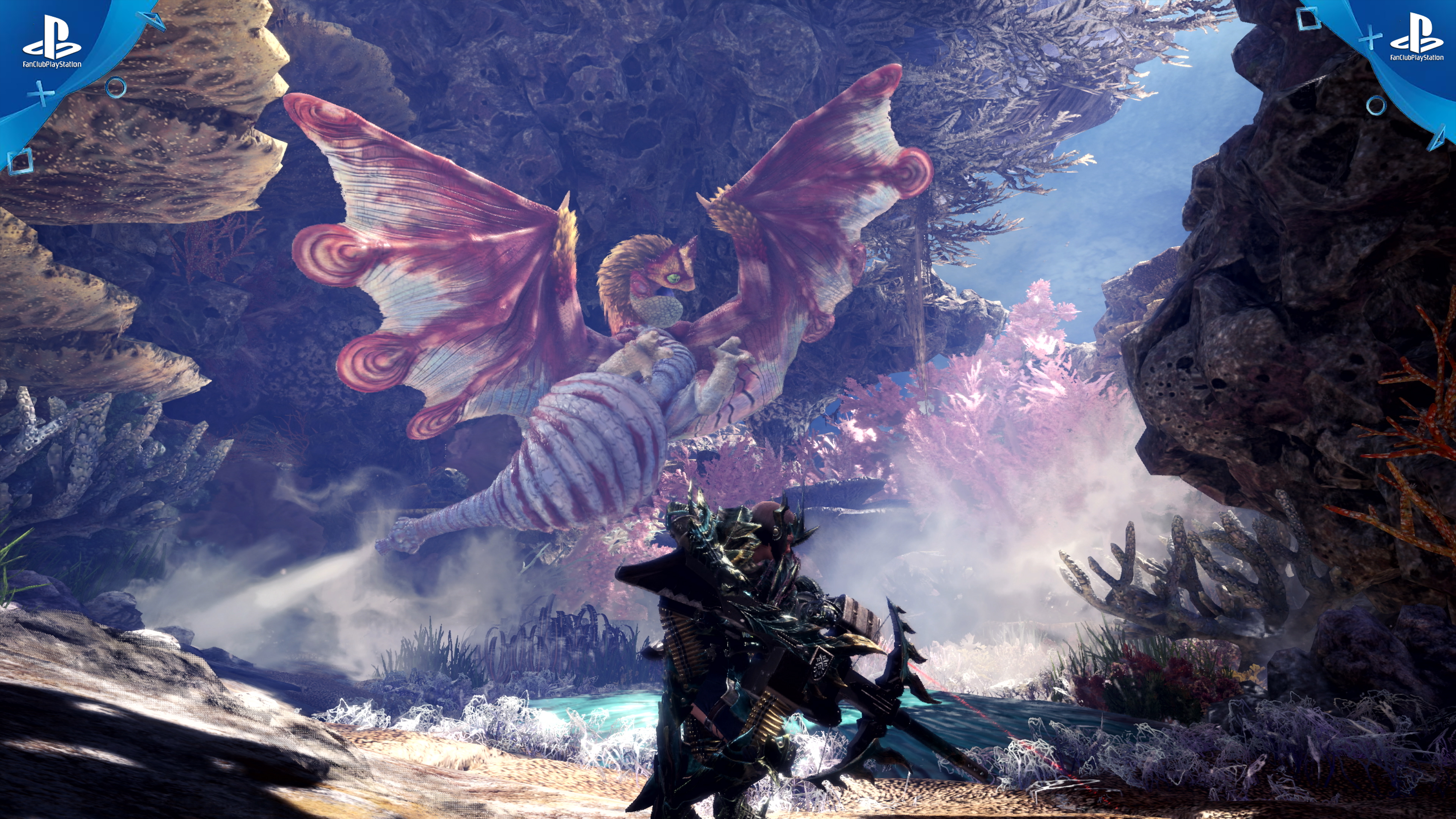 Coral Pukei-Pukei-iceborne