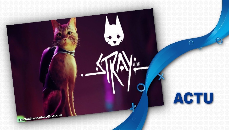 Stray débarque sur PlayStation Stray débarque sur PlayStation